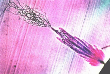 HVA45TD,<a href='http://www.tjjxsd56.com/Ppzq/b2.html'>B2HV</a>