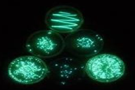 Microtox&reg; FX,便攜式水質毒性檢測儀