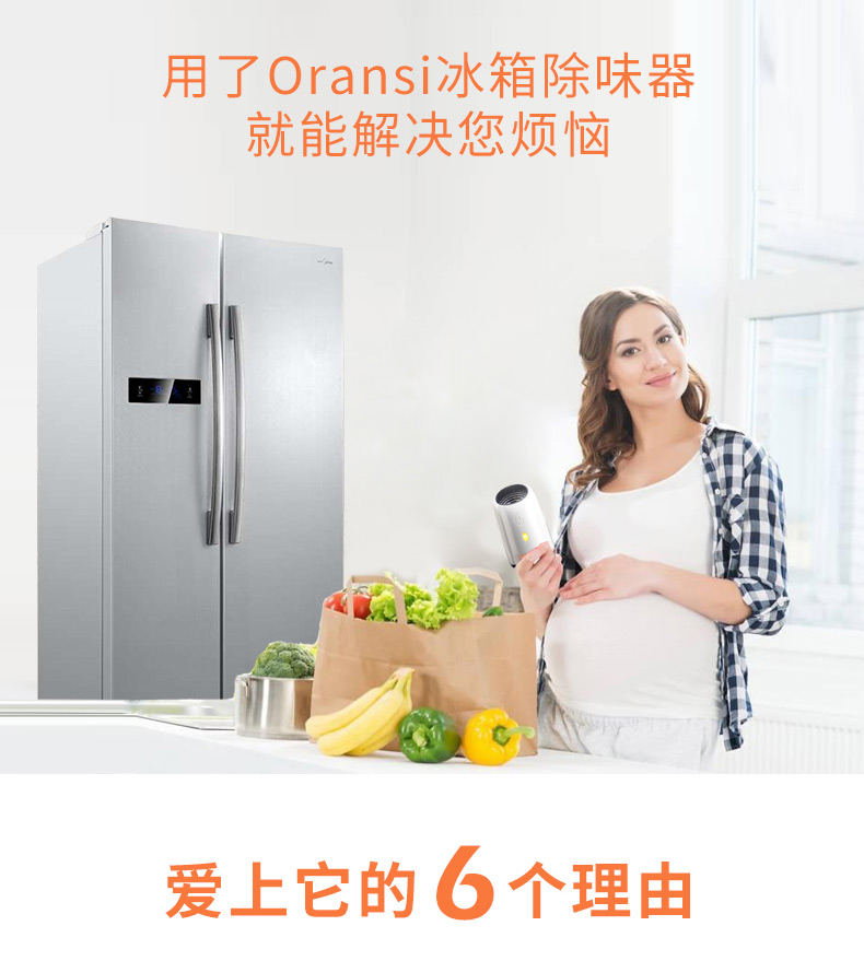 奧蘭希冰箱除味器4 奧蘭希冰箱除味器4